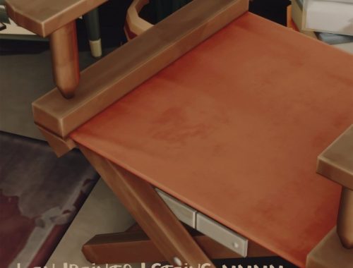 D LISTER’S CHAIR at Picture Amoebae