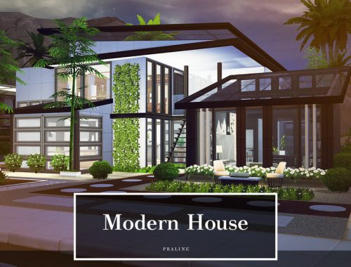 Modern House