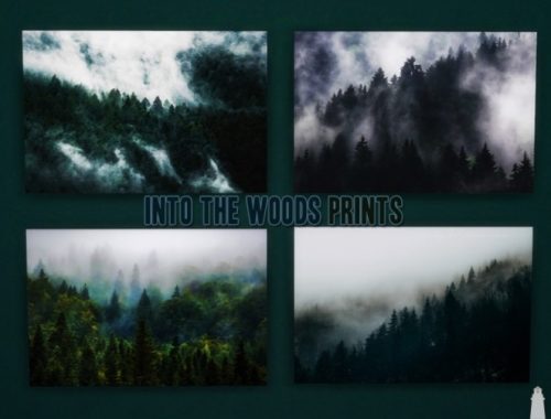 Into The Woods Prints by Waterwoman at Akisima