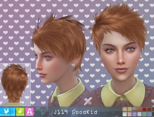 J119 Goodkid hair F (P) at Newsea Sims 4