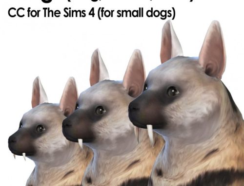 Fangs for small dogs and cats at Kalino