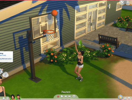 Sports Enthusiast Trait (Teen-Elder)
