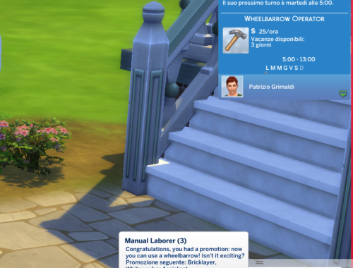 Adult Manual Laborer Career