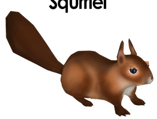Small Animal Packages Part 1 at Kalino