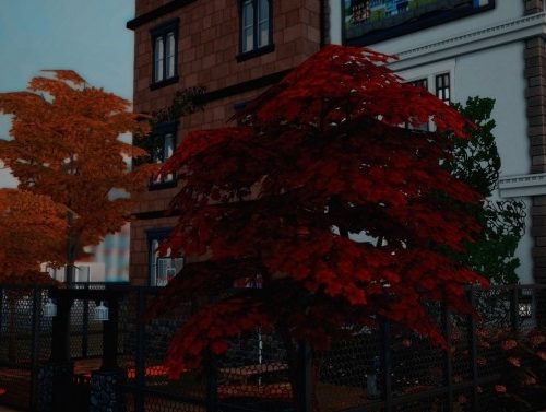 Newcrest Townhouses at Wiz Creations