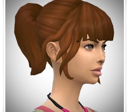 Sweet Sixteen Ponytail hair