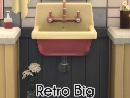 LUB DUP WOODEN FLOORS & RETRO BIG BASIN SINK at Picture Amoebae