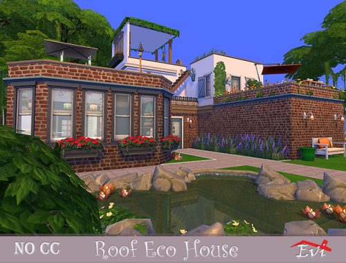 Roof Eco house