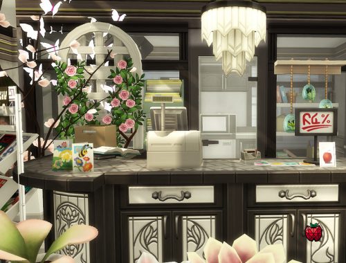 Daisy flower shop - no cc