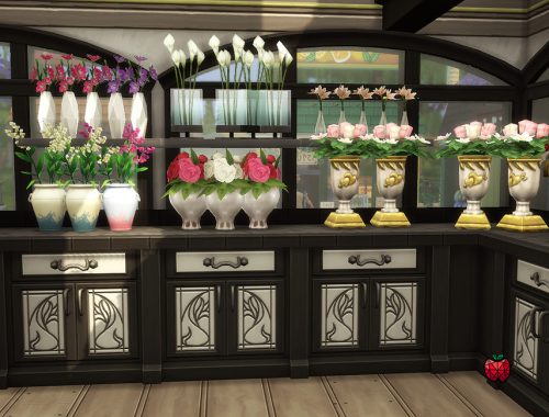 Daisy flower shop - no cc