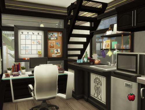 Daisy flower shop - no cc