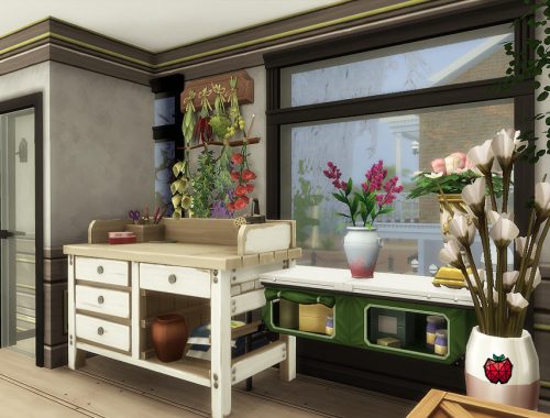 Daisy flower shop - no cc