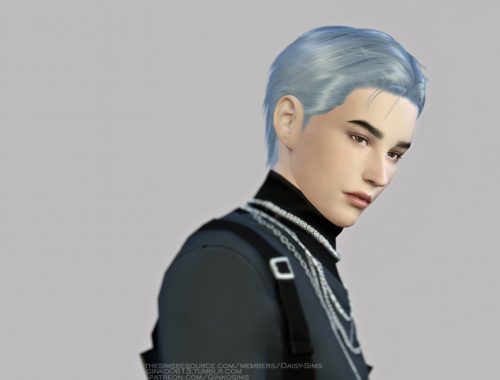 DaisySims Male Hair G10