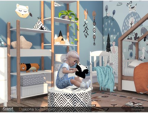 Dakota kidsroom decor