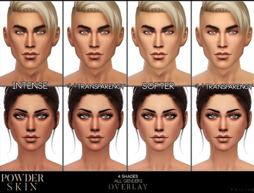 PS Powder Skin Overlay by Pralinesims