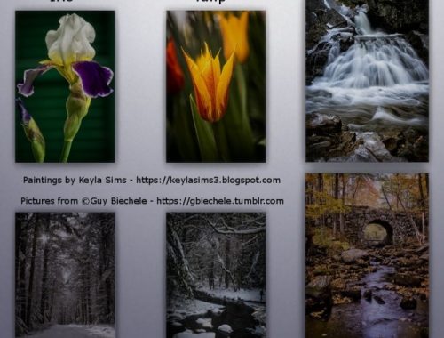 Paintings and Wallpapers G. Biechele