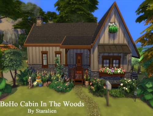 Boho Cabin In The Woods