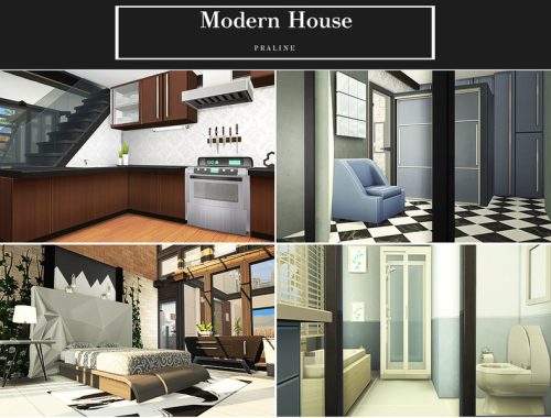Modern House