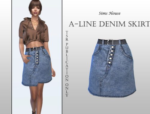 Denim A-Line Skirt