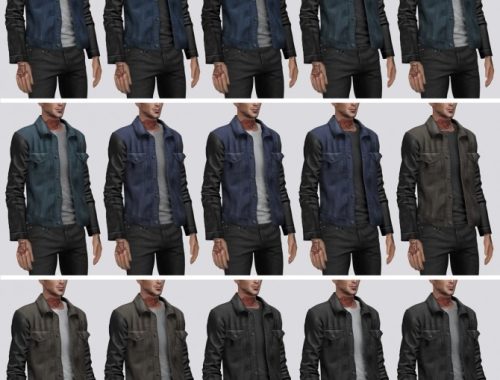 Denim Jacket with Leather Sleeves (P) at Darte77