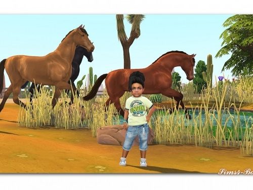 Designer Set for Toddler Boys TS4 at Sims4-Boutique
