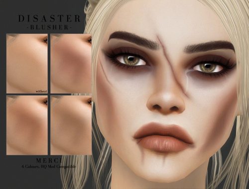 Disaster -Blusher-