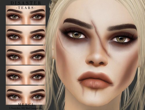 Disaster -Tears-