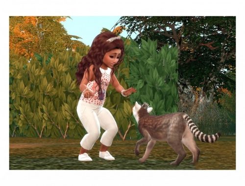 Dot Top, Shirt & Pants at Sims4-Boutique