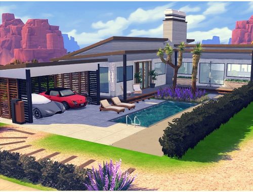 dream way