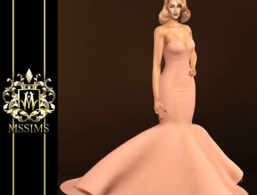 DREAMING GOWN (P) at MSSIMS