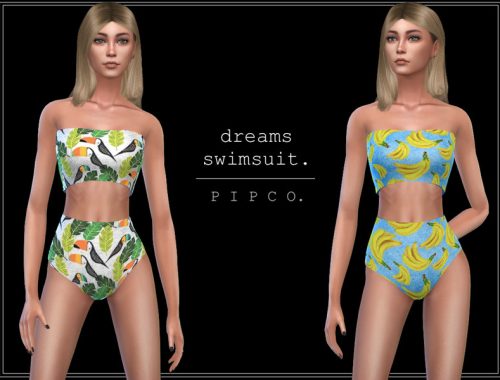 dreams swimsuit.