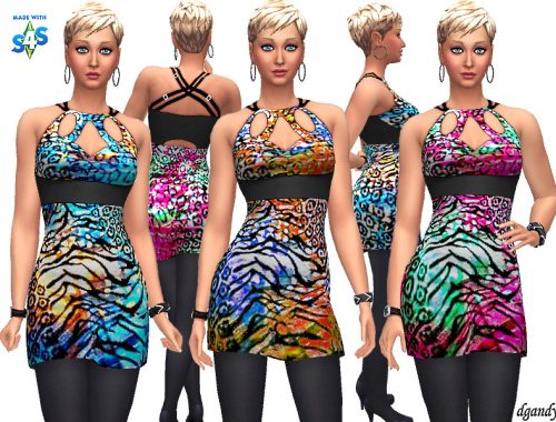 Dress 20200106