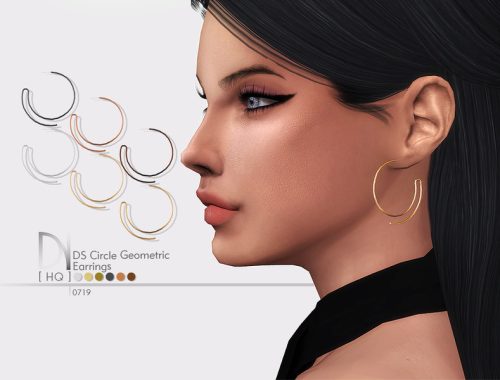 DS Circle Geometric Earrings