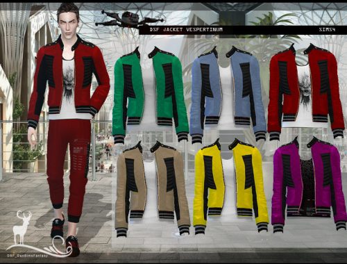 DSF JACKET VESPERTINUM