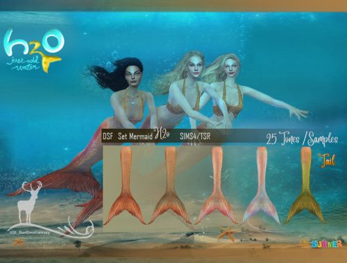 DSF SET MERMAID H2o
