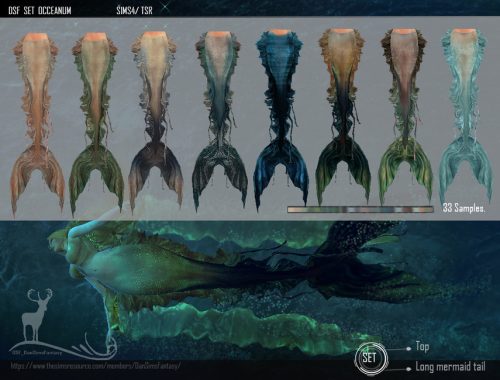 DSF SET OCCEANUM