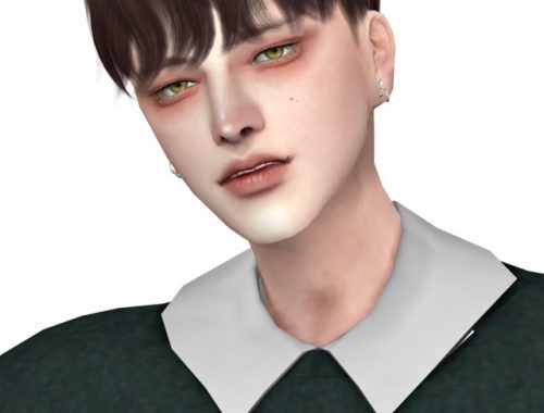 Dut Hair at Lemon Sims 4