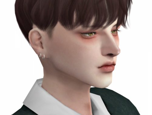 Dut Hair at Lemon Sims 4