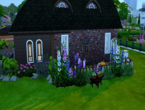 Dutch  | No CC