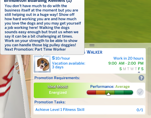 Brindleton Boarding Kennels Career