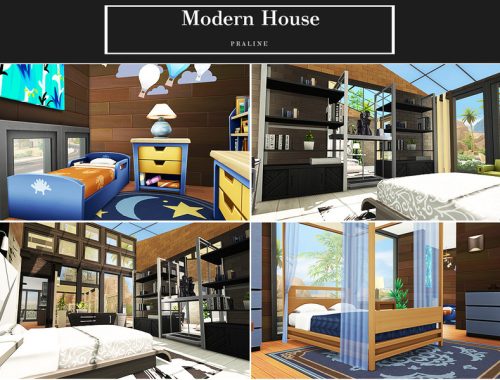 Modern House