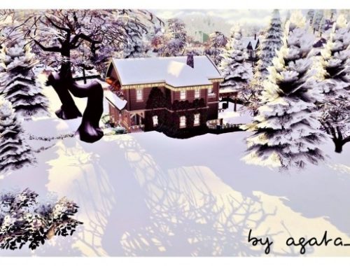 Winter Harbor at Agathea-k