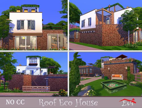 Roof Eco house
