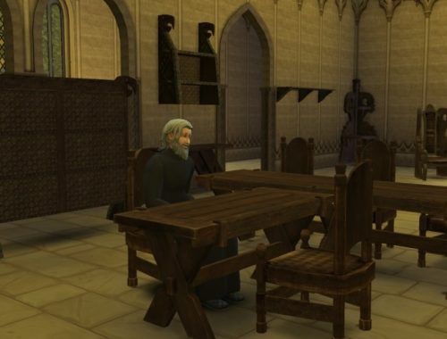Skyrim Monastic library at Mara45123