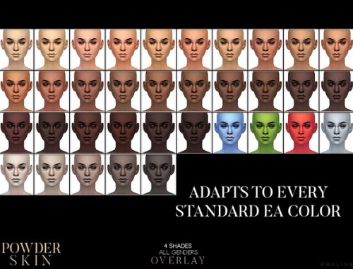 PS Powder Skin Overlay by Pralinesims
