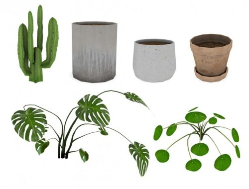 Regn plants set at Sanoy Sims