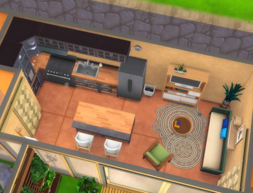 Earthship Tier 2 Tiny House - No CC