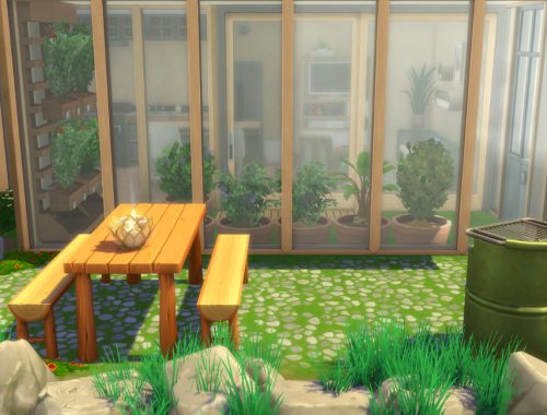 Earthship Tier 2 Tiny House - No CC