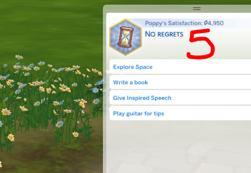 No regrets Aspiration (custom aspiration)