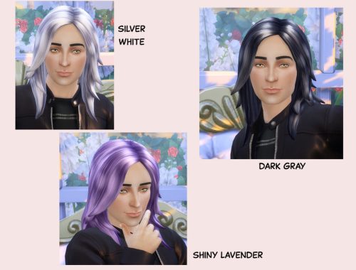 Echoehver Male Rocker Hair Recolor